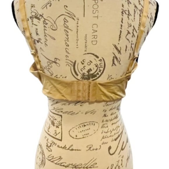 M. VIE INTIMATES Padded Bra Size 38D Beige Mesh Floral Embroidery New with Bag - Picture 7 of 10